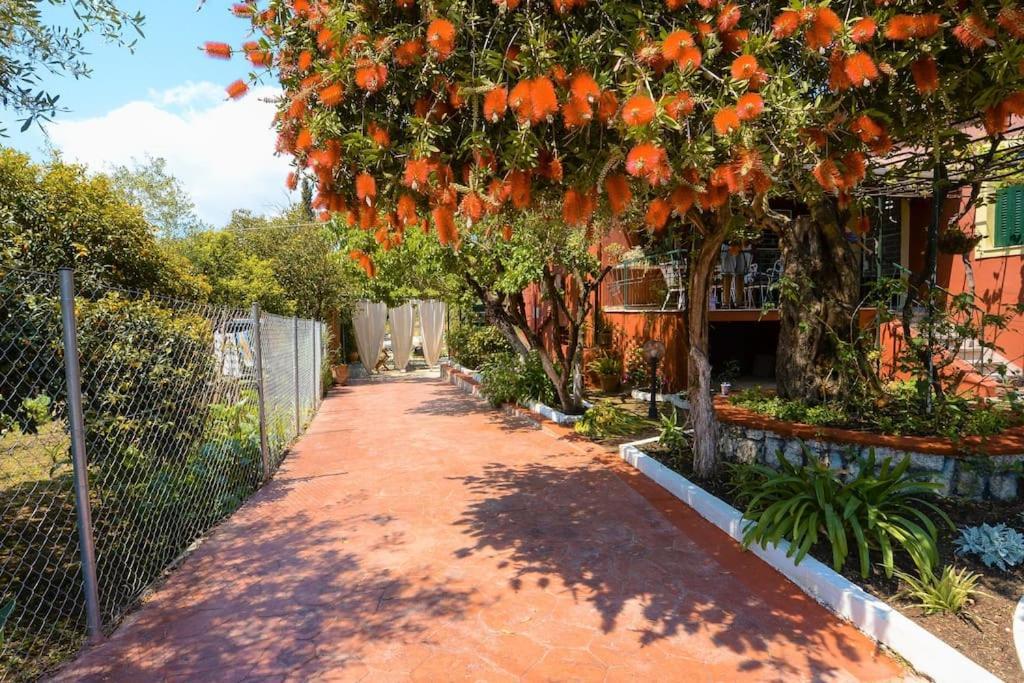 The Red House In Dassia 外观 照片